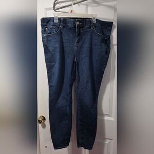 Torrid Indigo Straight Leg Jeans